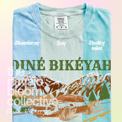 Diné Bikéyah Camaro graphic tee in Chambray, Bay, and Chalky Mint