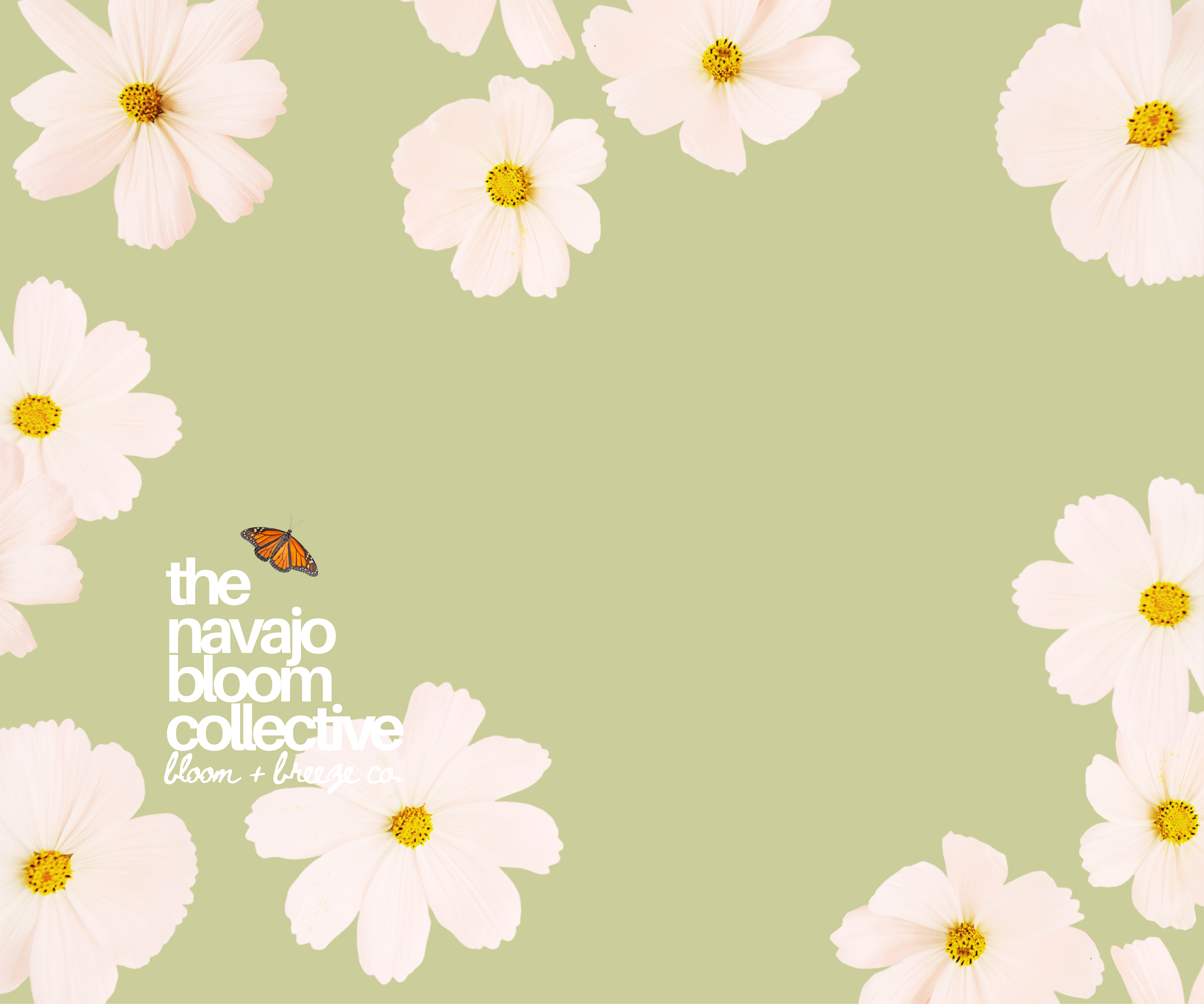 White flowers with yellow centers on a light green background, featuring 'the navajo bloom collective' text.